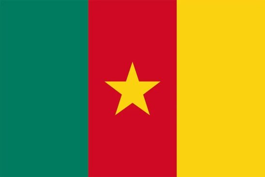 The Flag of Cameroon