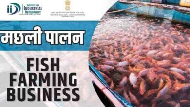Fish Farming business hindi