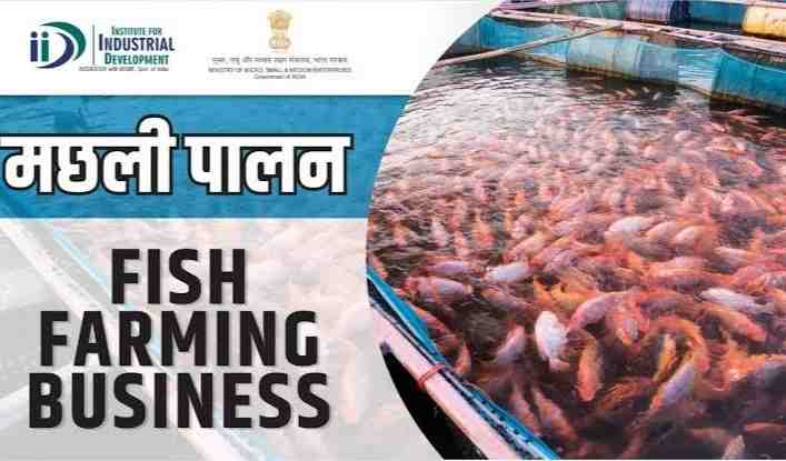 Fish Farming business hindi