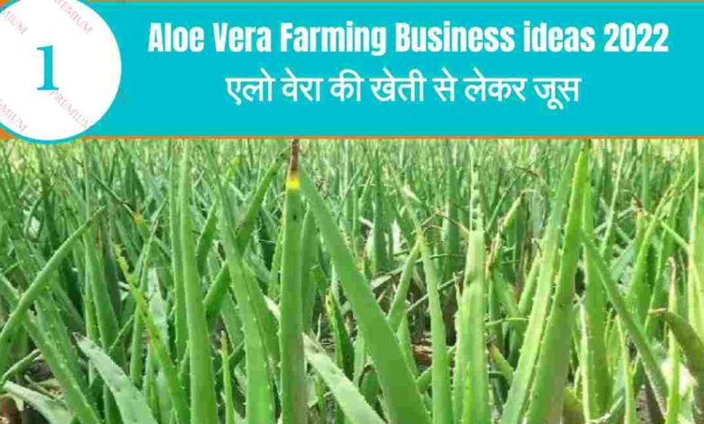 Aloe Vera Farming in hindi