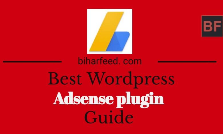 Adsense plugin guide