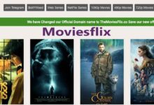 moviesflix REVIEW 2022